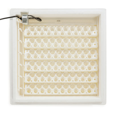 Farm Innovators 3400 Replacement Tray Rail for 240 Quail & Small Eggs (12 Pack)