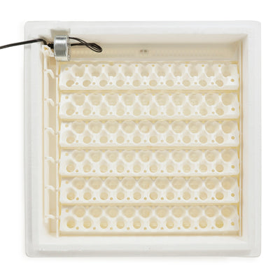 Farm Innovators 3400 Tray Rail for 120 Quail and Small Eggs (6 Pack) (Used)