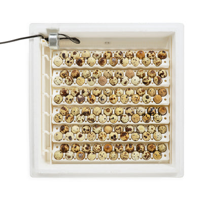Farm Innovators 3400 Replacement Tray Rail for 240 Quail & Small Eggs (12 Pack)