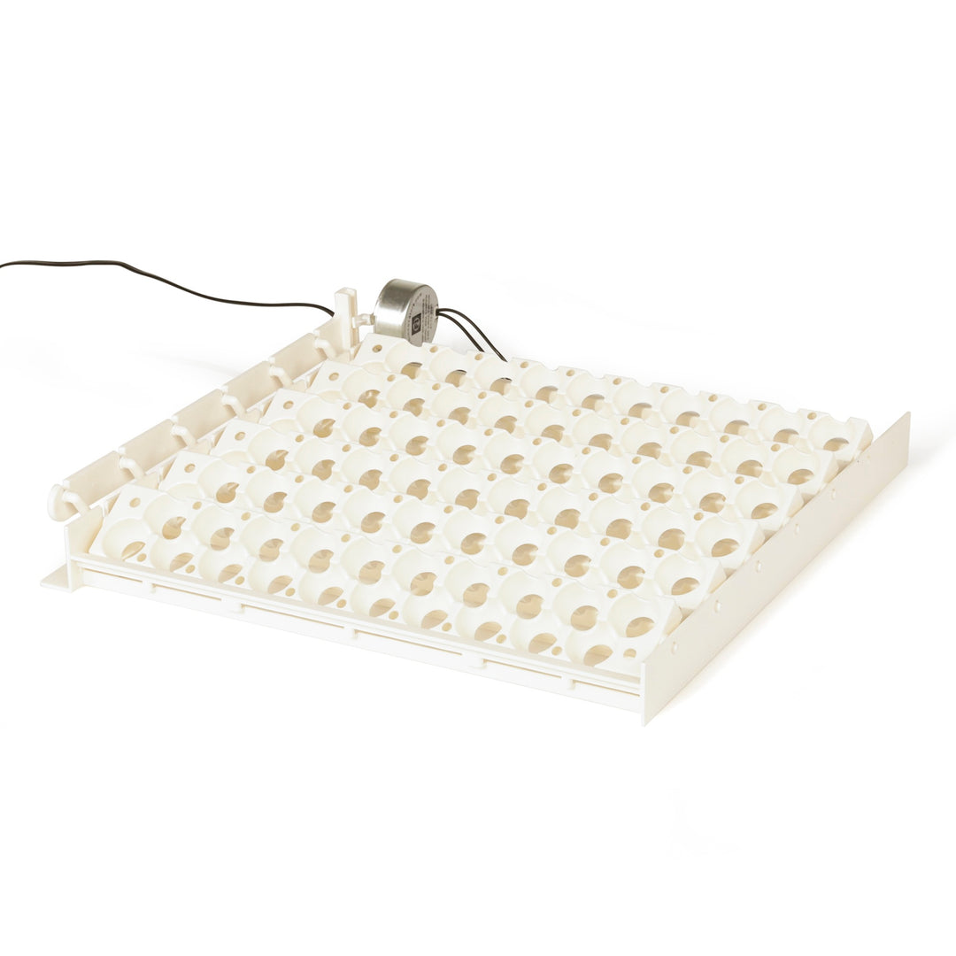 Farm Innovators 3400 Tray Rail for 120 Quail and Small Eggs (6 Pack) (Open Box)