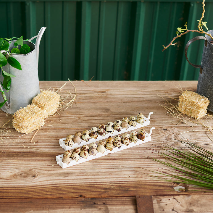 Farm Innovators 3400 Tray Rail for 120 Quail and Small Eggs (6 Pack) (Open Box)