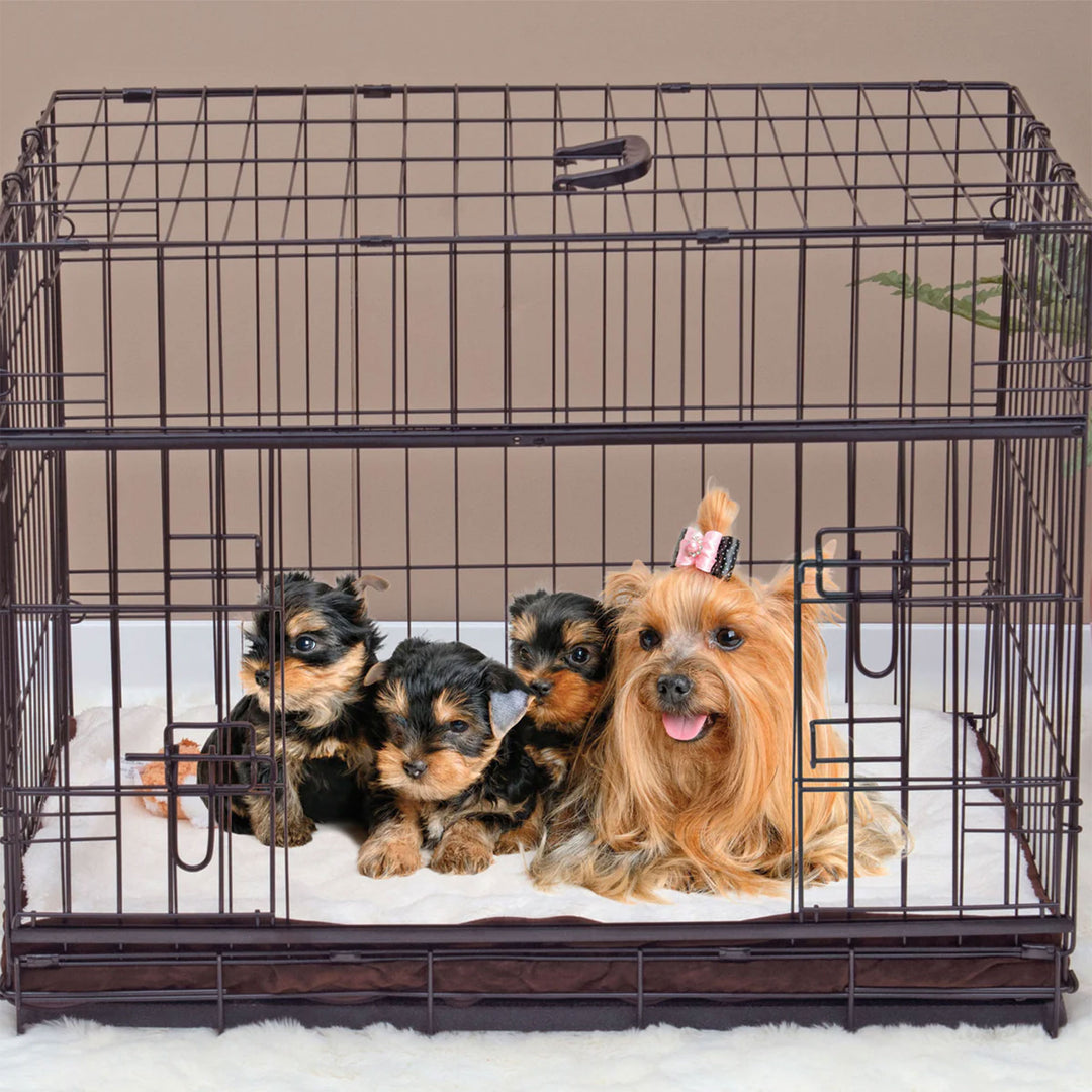 Lucky Dog Dwell Series 48 Inch XL Kennel Secure Fenced Pet Dog Crate, Black