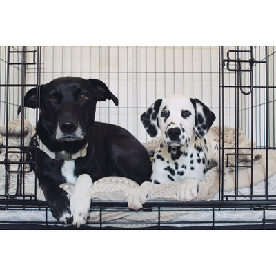 Lucky Dog Dwell Series 30" S/M Kennel Secure Fenced Pet Crate, Black (Open Box)