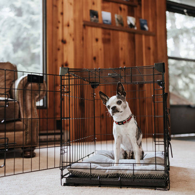 Lucky Dog Dwell Series 24" Small Kennel Secure Fenced Pet Dog Crate, Black(Used) - VMInnovations