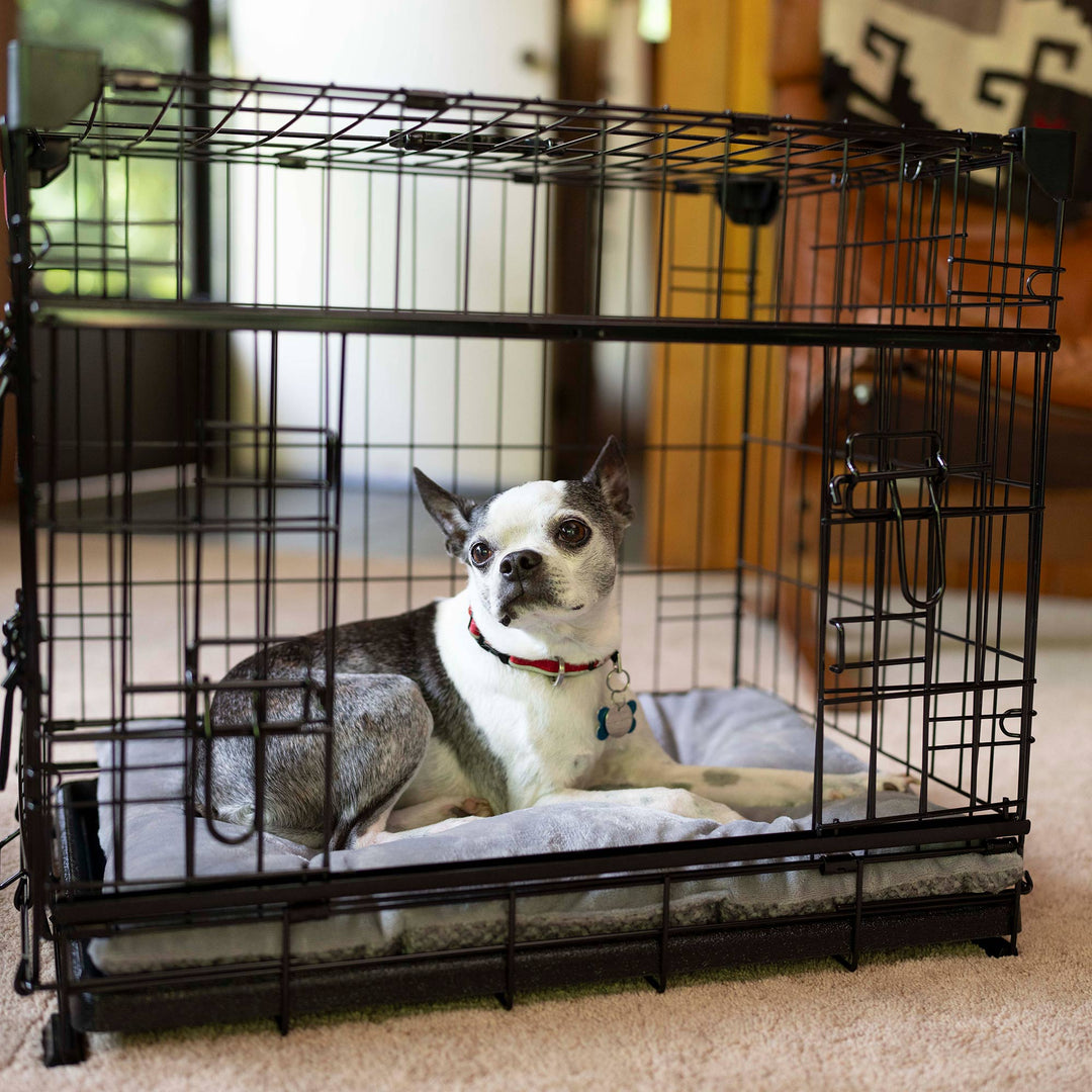 Lucky Dog Dwell Series 24 Inch Small Kennel Secure Fenced Pet Dog Crate, Black