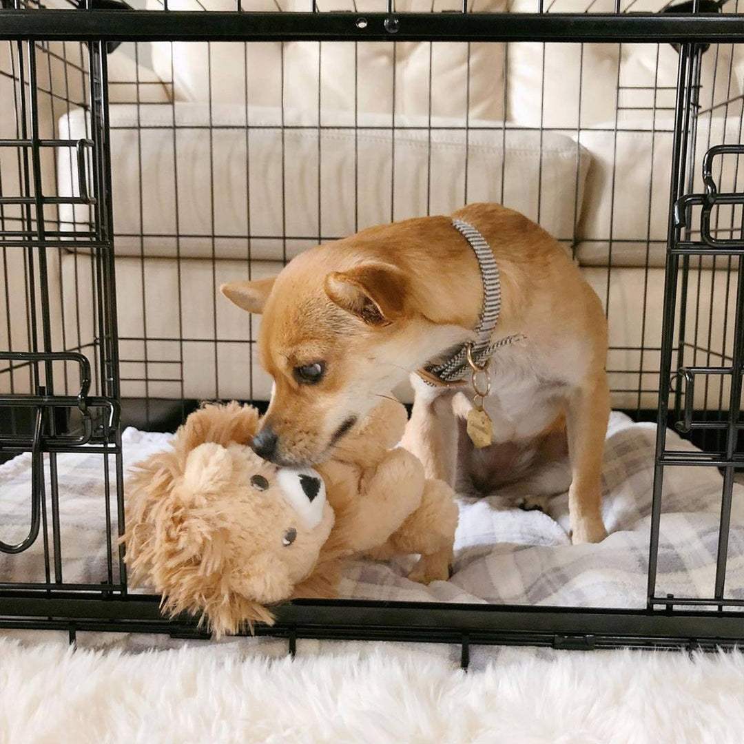 Lucky Dog Dwell Series 24" Small Kennel Secure Fenced Pet Dog Crate, Black(Used) - VMInnovations