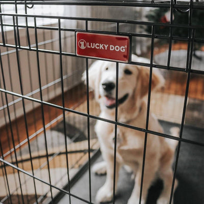 Lucky Dog 24 Inch Small Kennel Secure Fenced Pet Dog Crate, Black (Open Box) - VMInnovations