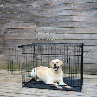 Lucky Dog Dwell Series 42 Inch Large Kennel Pet Dog Crate, Black (Open Box) - VMInnovations