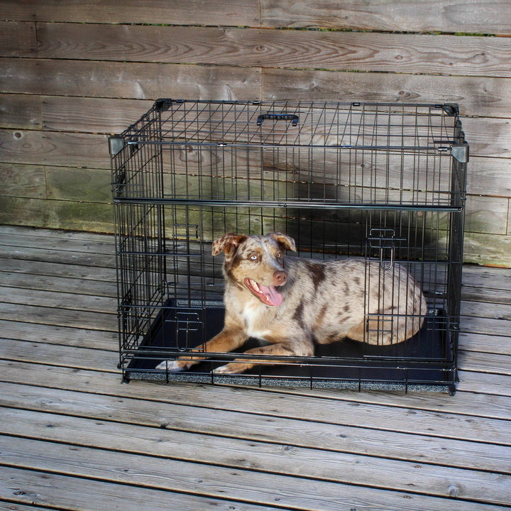 Dwell Series 36 Inch M/L Kennel Secure Fenced Pet Dog Crate, Black (Open Box)