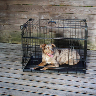 Dwell Series 36 Inch M/L Kennel Secure Fenced Pet Dog Crate, Black (Open Box)
