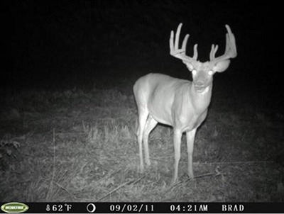 MOULTRIE Game Spy D-55IR Digital Infrared Trail Game Camera 5 MP - D55 IR