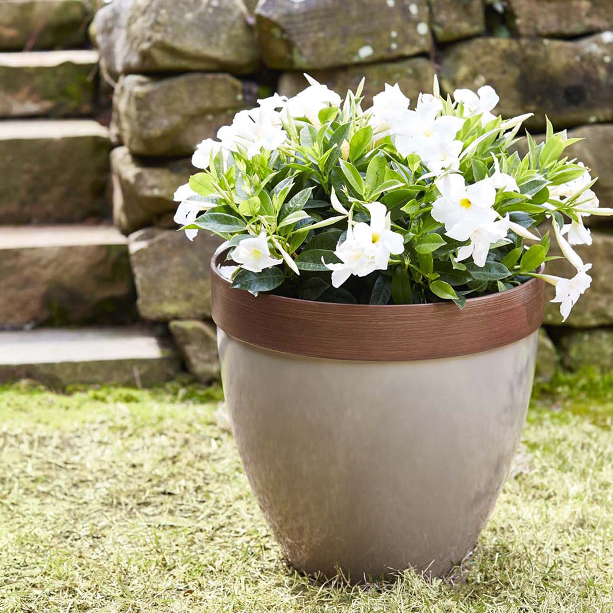 Southern Patio 15-Inch Hornsby Resin Planter with Drainage Hole and Plug, Taupe