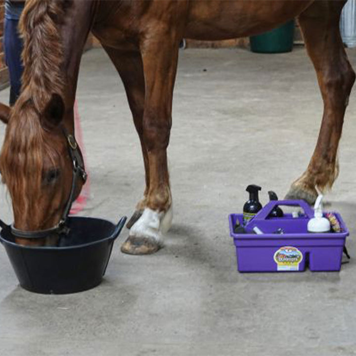 Little Giant Plastic Box Organizer w/2 Compartments & Handle, Purple (Open Box) - VMInnovations