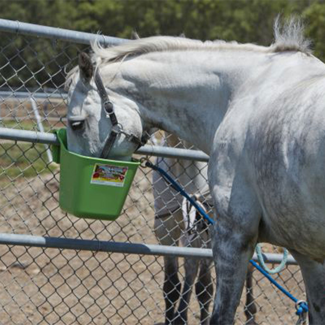 Little Giant 12 Quart Mountable Livestock Hook Over Bucket Feeder, Lime Green