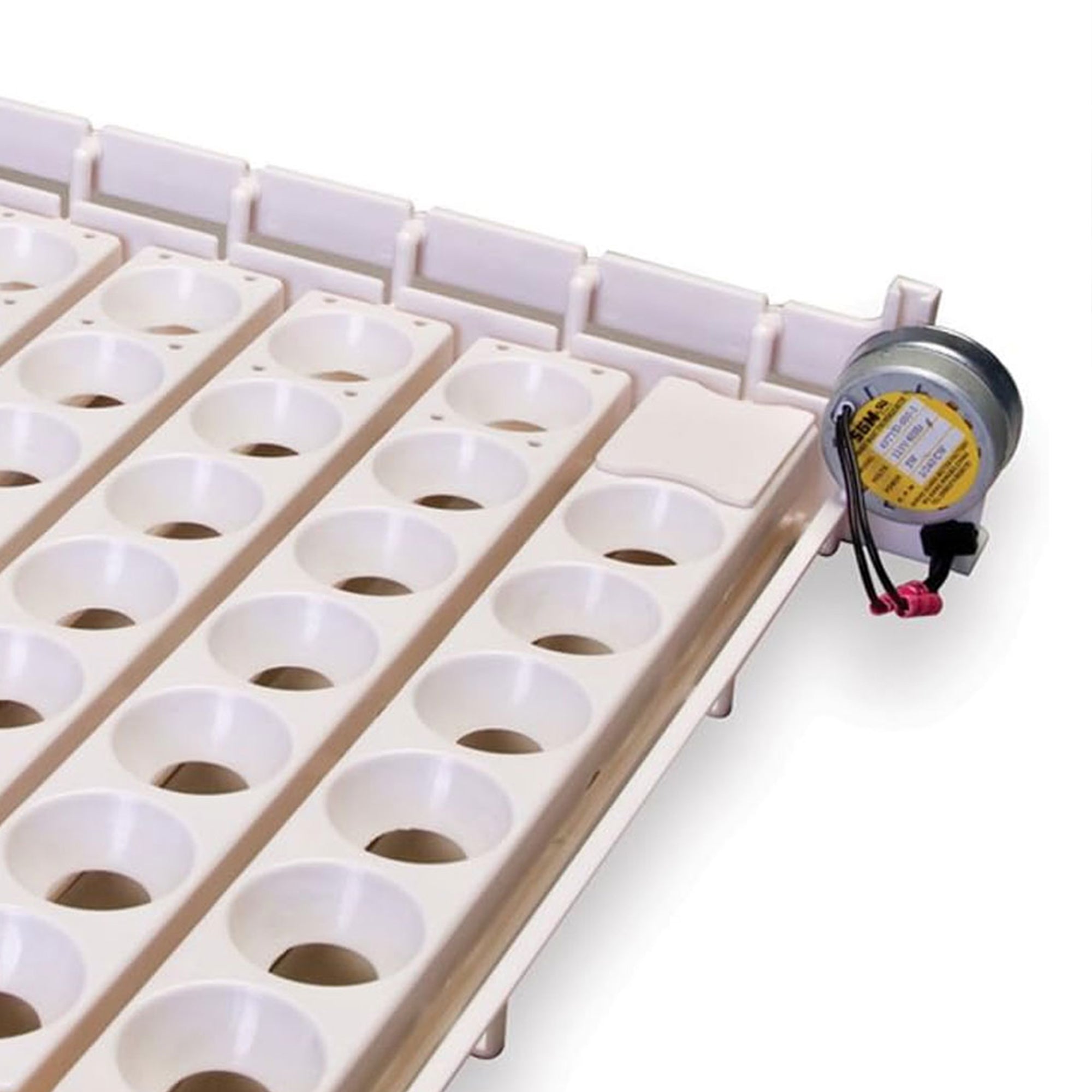 Little Giant Automatic Egg Turner, Incubator Accessory for Poultry Hatching - VMInnovations