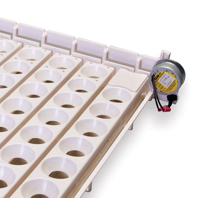 Little Giant Automatic Egg Turner, Incubator Accessory for Poultry Hatching - VMInnovations