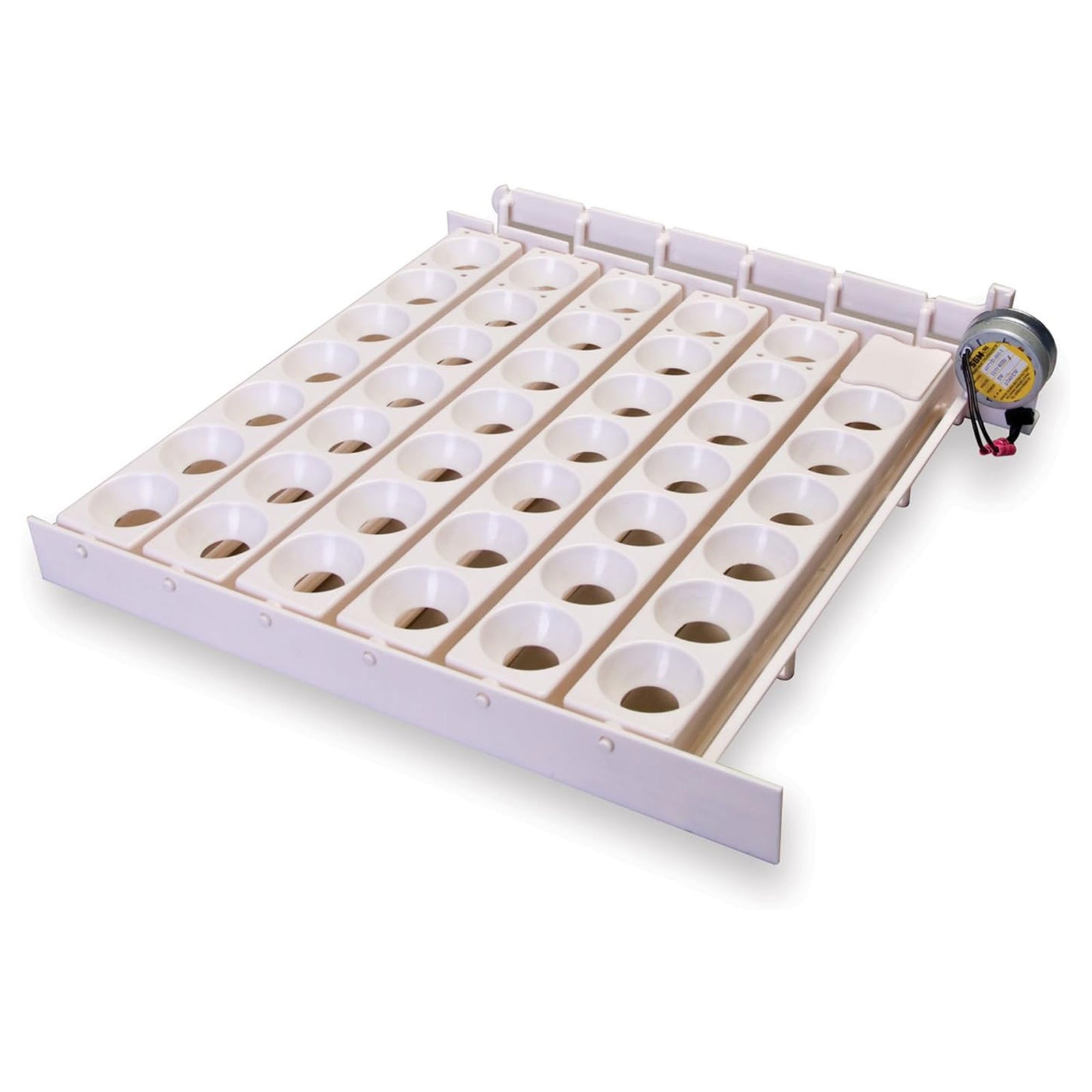 Little Giant Automatic Egg Turner, Incubator Accessory for Poultry Hatching - VMInnovations