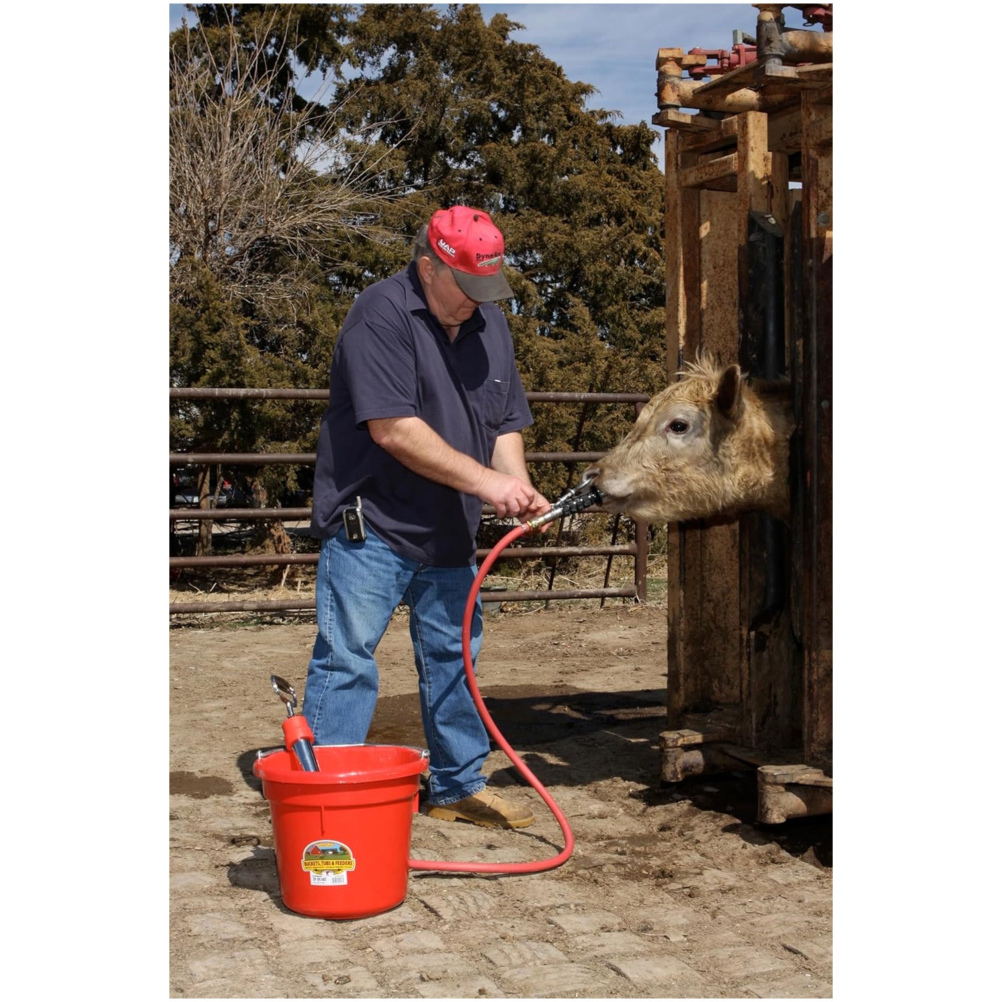 Springer Magrath Complete CPS Cattle Pump System, Administers Fluids to Animals - VMInnovations
