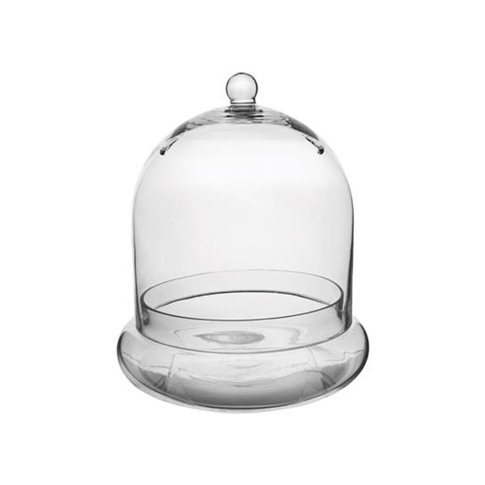 Syndicate Home Gardens Glass Terrarium Cloche with Built In Air Holes (Open Box)