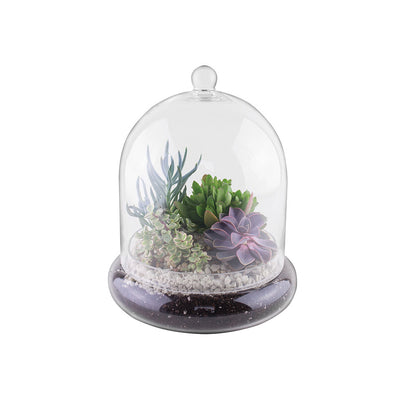 Syndicate Home Gardens Glass Terrarium Cloche with Built In Air Holes (Open Box)