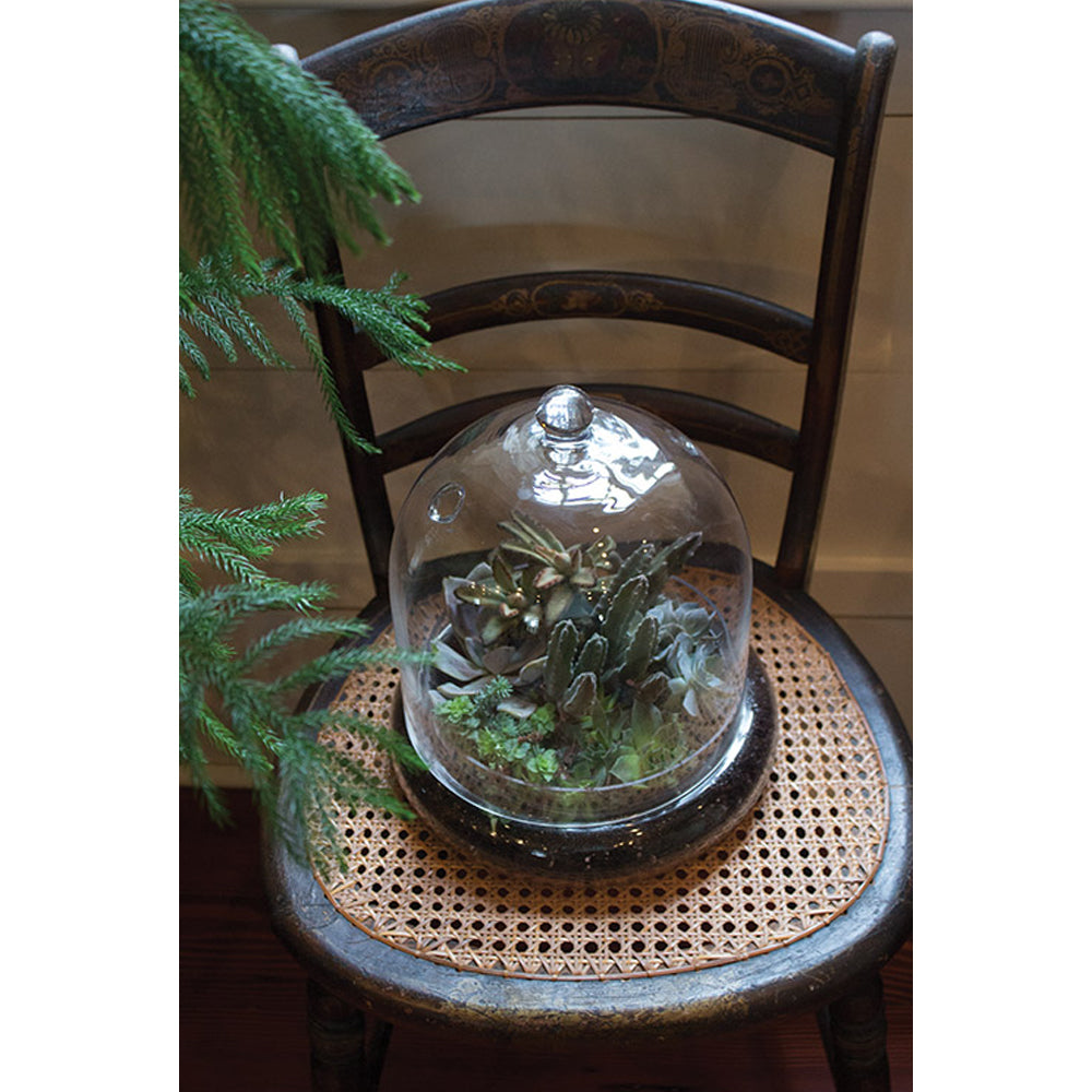 Syndicate Home Gardens Glass Terrarium Cloche with Built In Air Holes (Open Box)