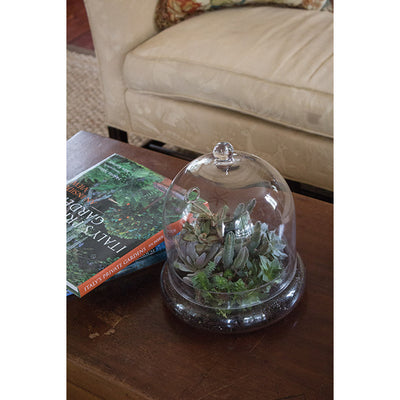 Syndicate Home Gardens Glass Terrarium Cloche with Built In Air Holes (Open Box)