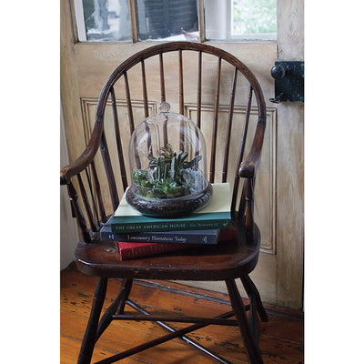 Syndicate Home Gardens Glass Terrarium Cloche with Built In Air Holes (Open Box)