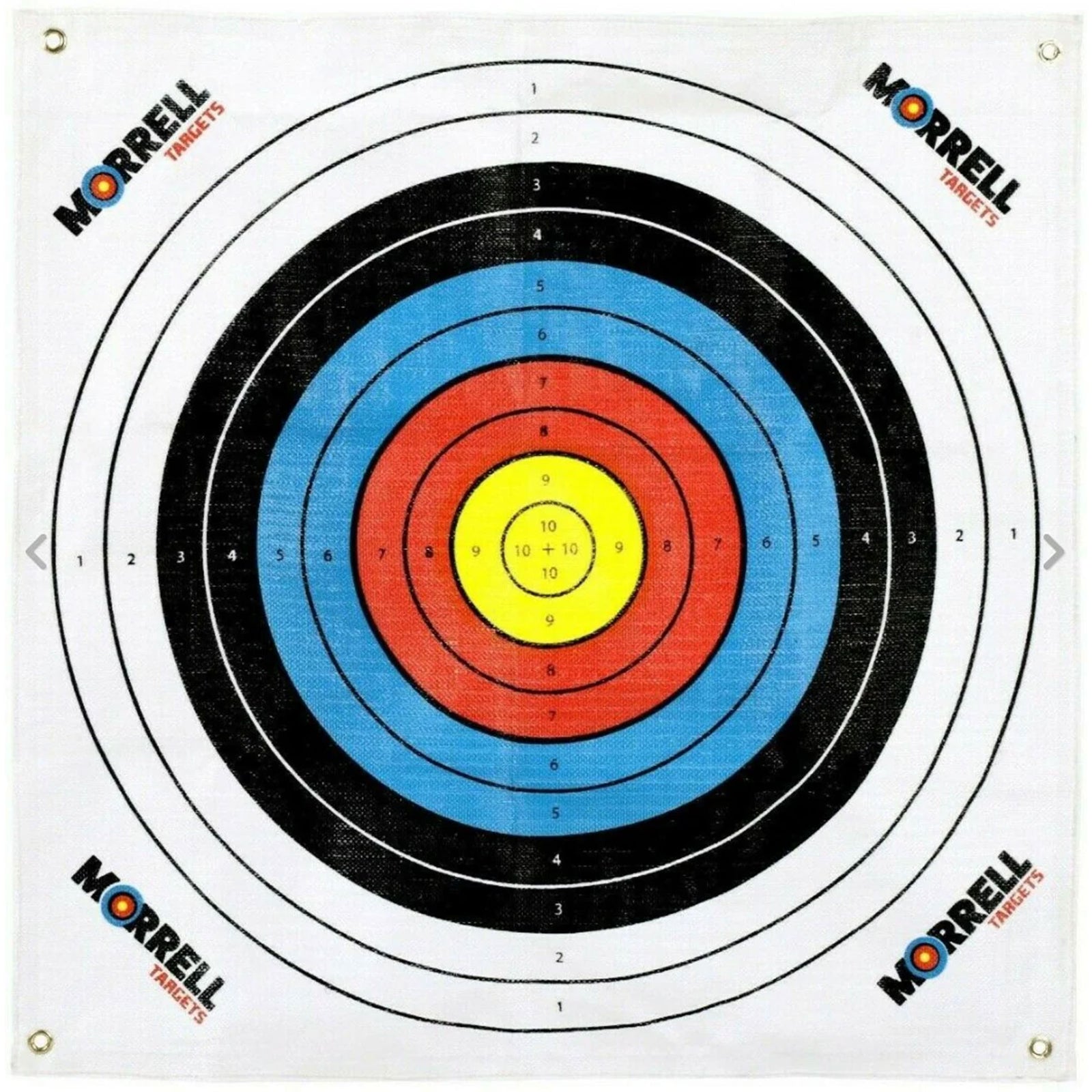 Morrell Targets Archery Target Face for Field Point Shooting Practice, 34" x 34" - VMInnovations