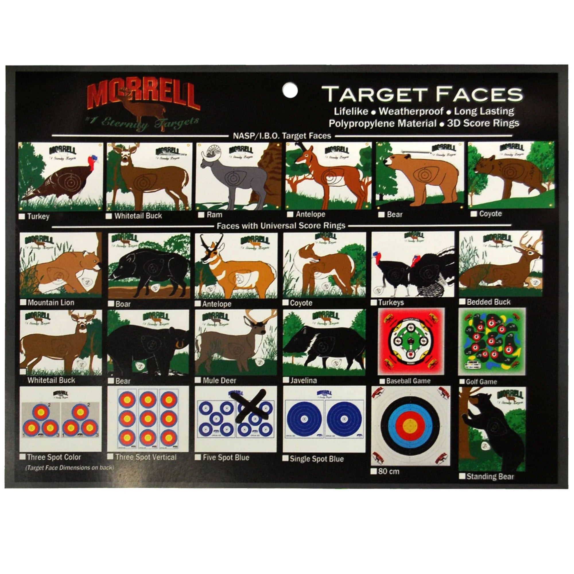 Morrell Targets Archery Target Face for Field Point Shooting Practice, 34" x 34" - VMInnovations