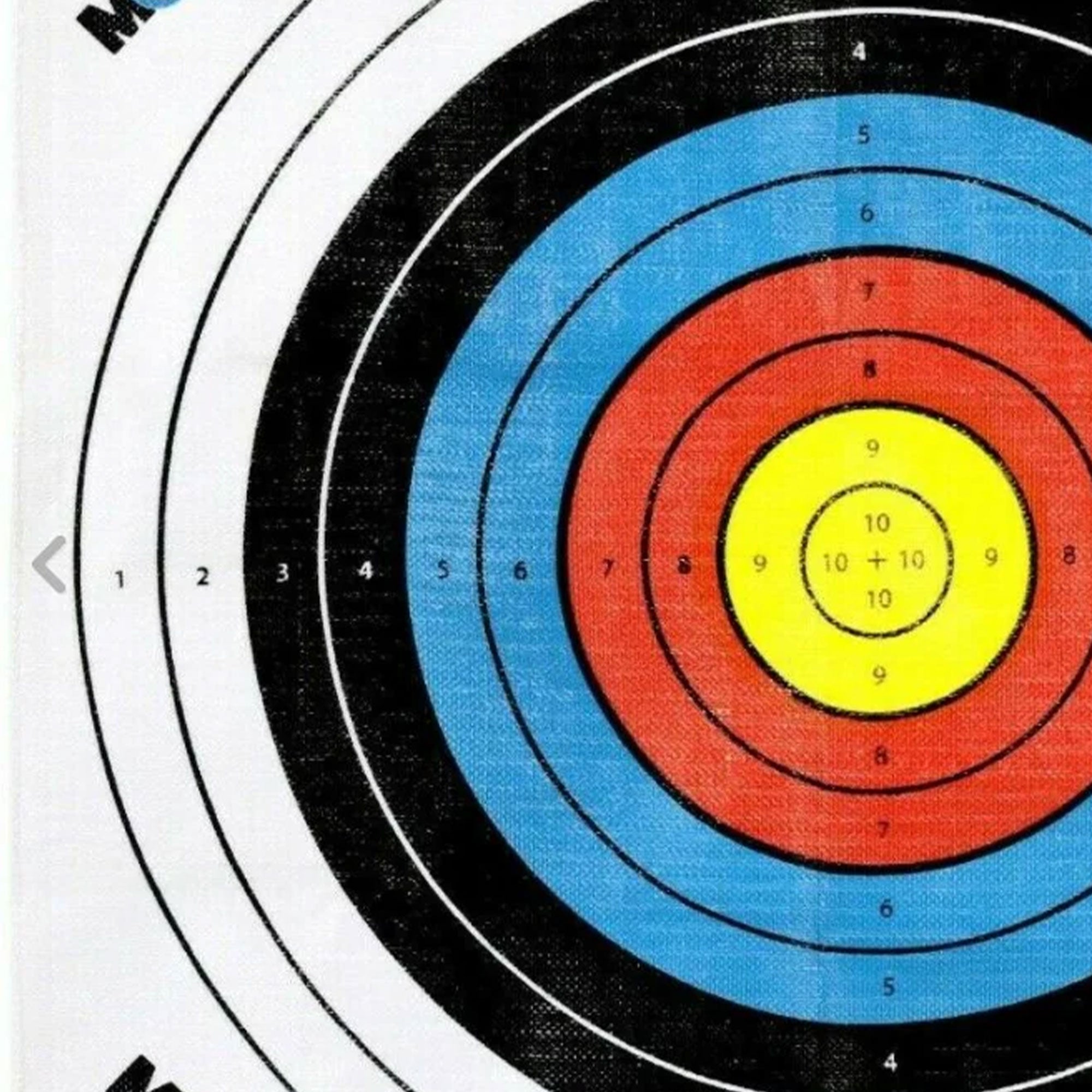 Morrell Targets Archery Target Face for Field Point Shooting Practice, 34" x 34" - VMInnovations