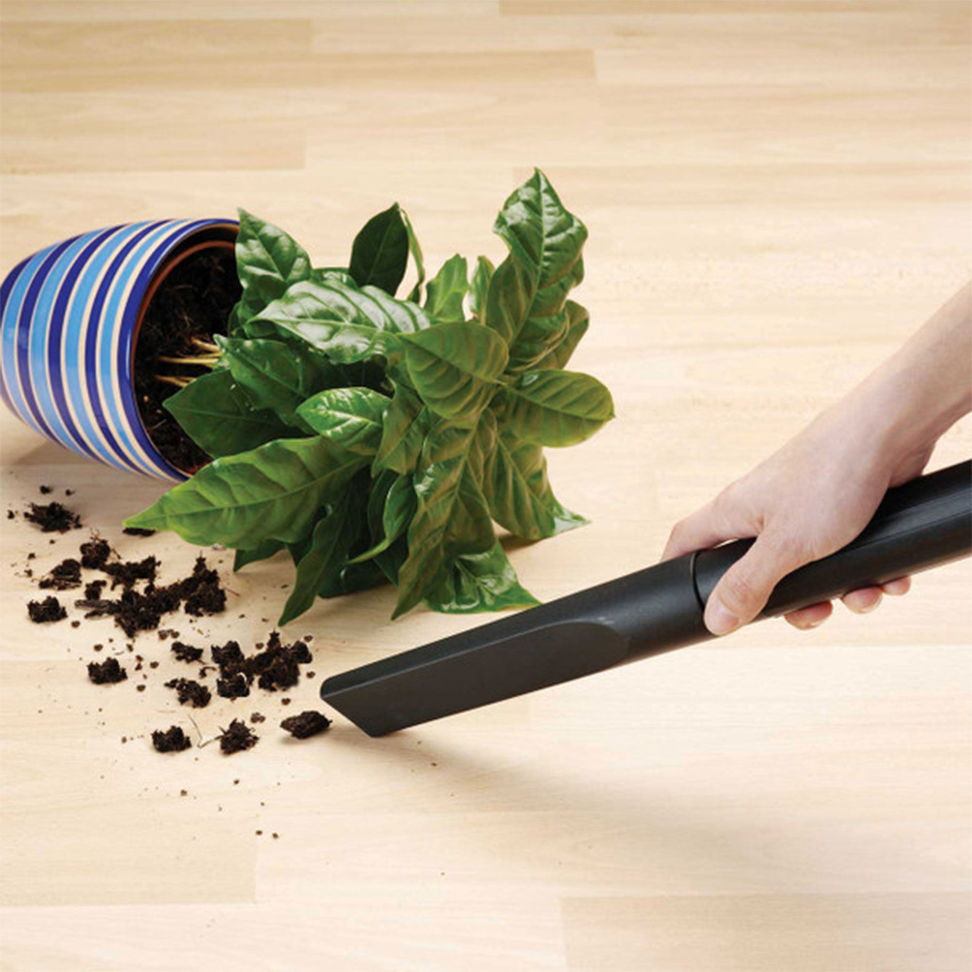 Vacmaster 2.5 Gal 2 HP Portable 2 in 1 Wet/Dry Vacuum & Attachments(Used) - VMInnovations