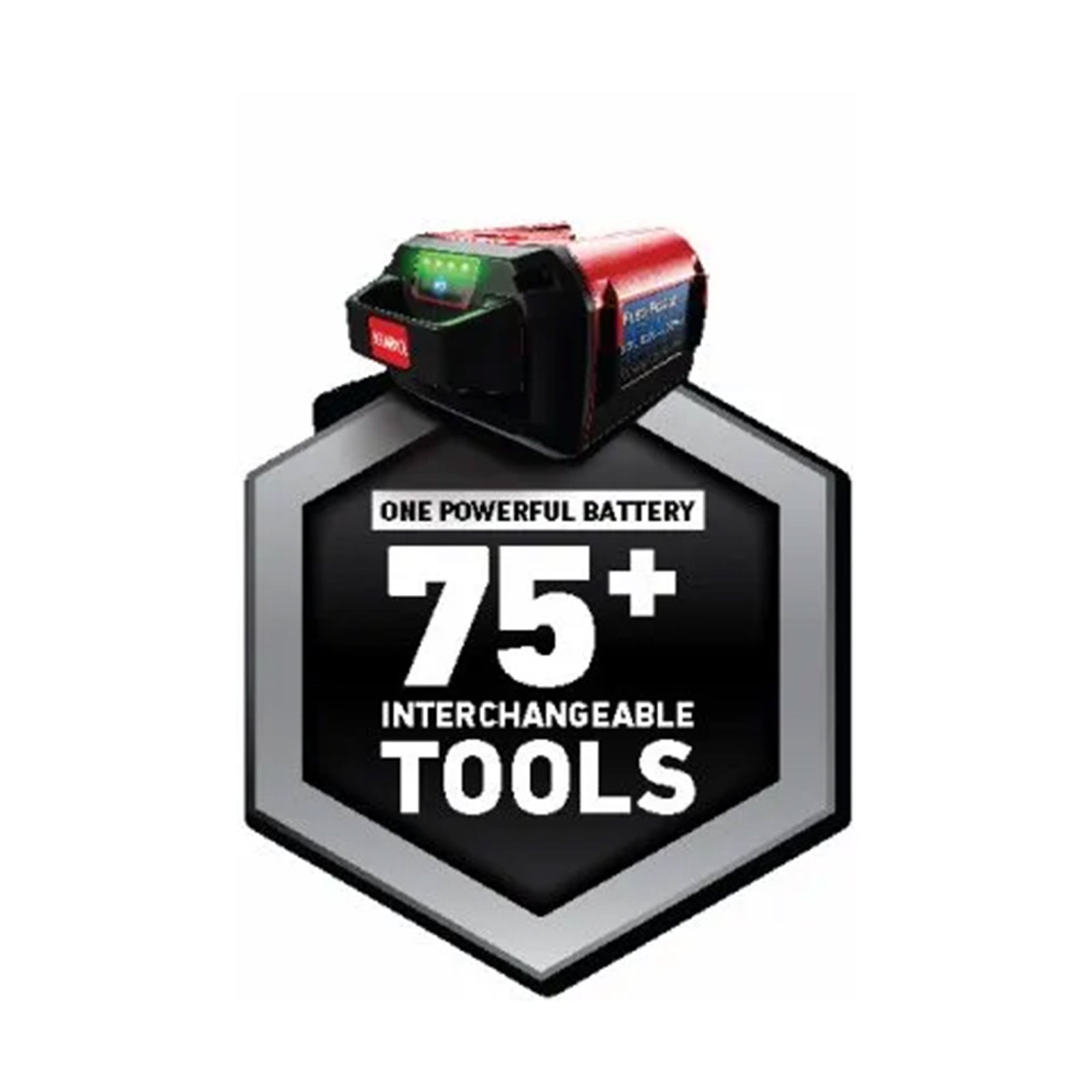 Toro Flex Power System 60 Volt Max 2.5Ah Lithium Ion Battery,Black/Red(Open Box) - VMInnovations