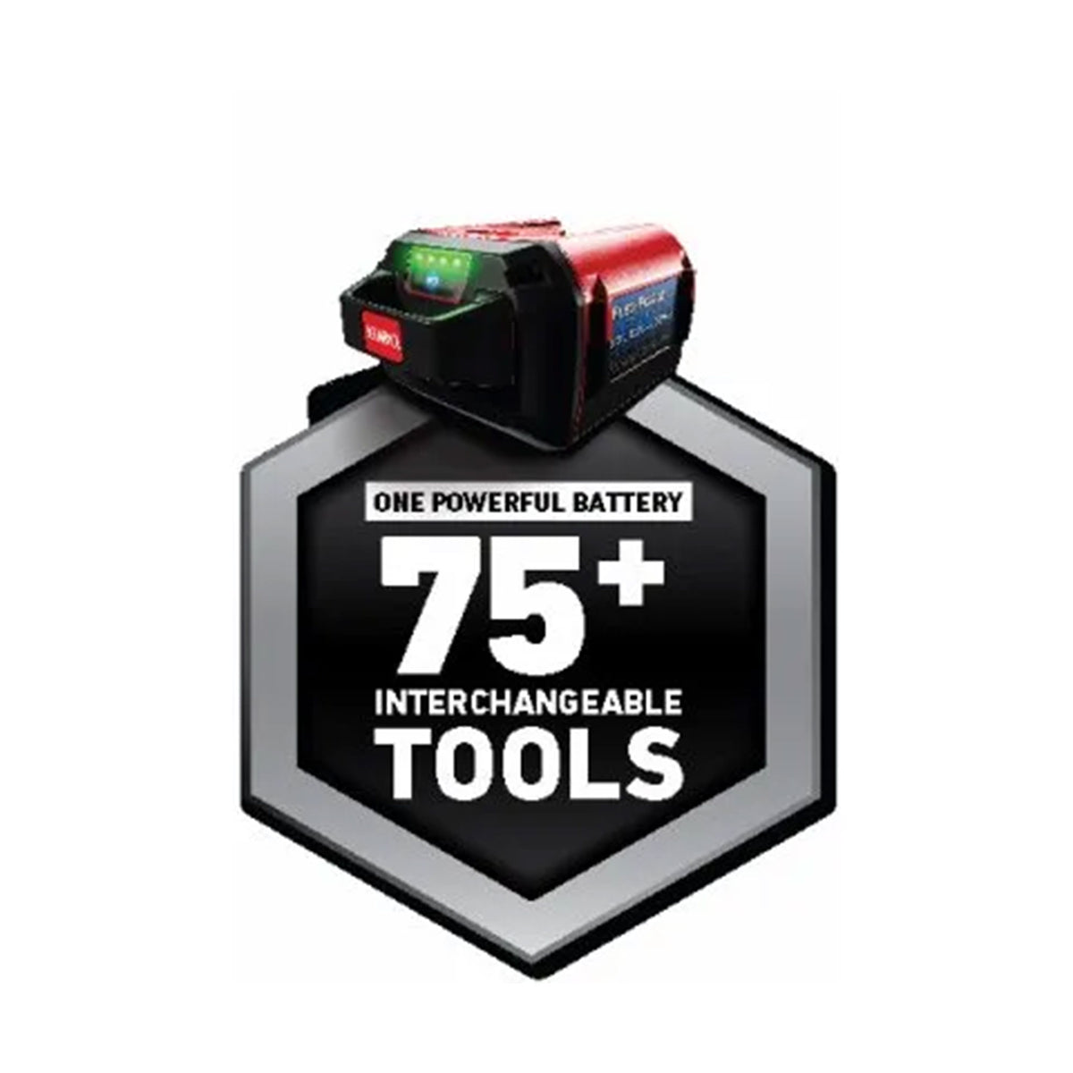 Toro Flex Force Power System 60 Volt Max 2.5Ah Lithium Ion Battery, Black/Red