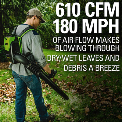 Greenworks Cordless Backpack Blower with 80 Volt 2.5Ah Battery & Charger, Green - VMInnovations