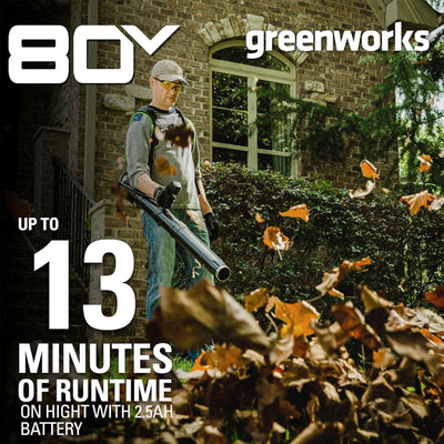 Greenworks Cordless Backpack Blower with 80 Volt 2.5Ah Battery & Charger, Green - VMInnovations