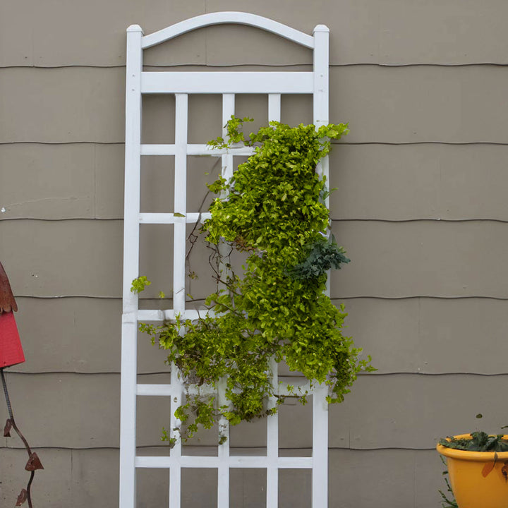 Dura-Trel Cambridge 28 x 75 Inch PVC Outdoor Garden Trellis, White (Open Box) - VMInnovations