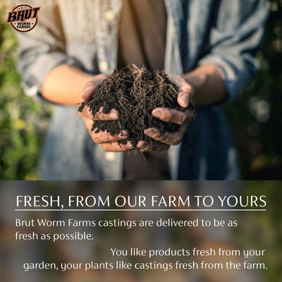 Brut Worm Farms Worm Castings Soil, Cow Compost Fertilizer & Potting Soil Bundle