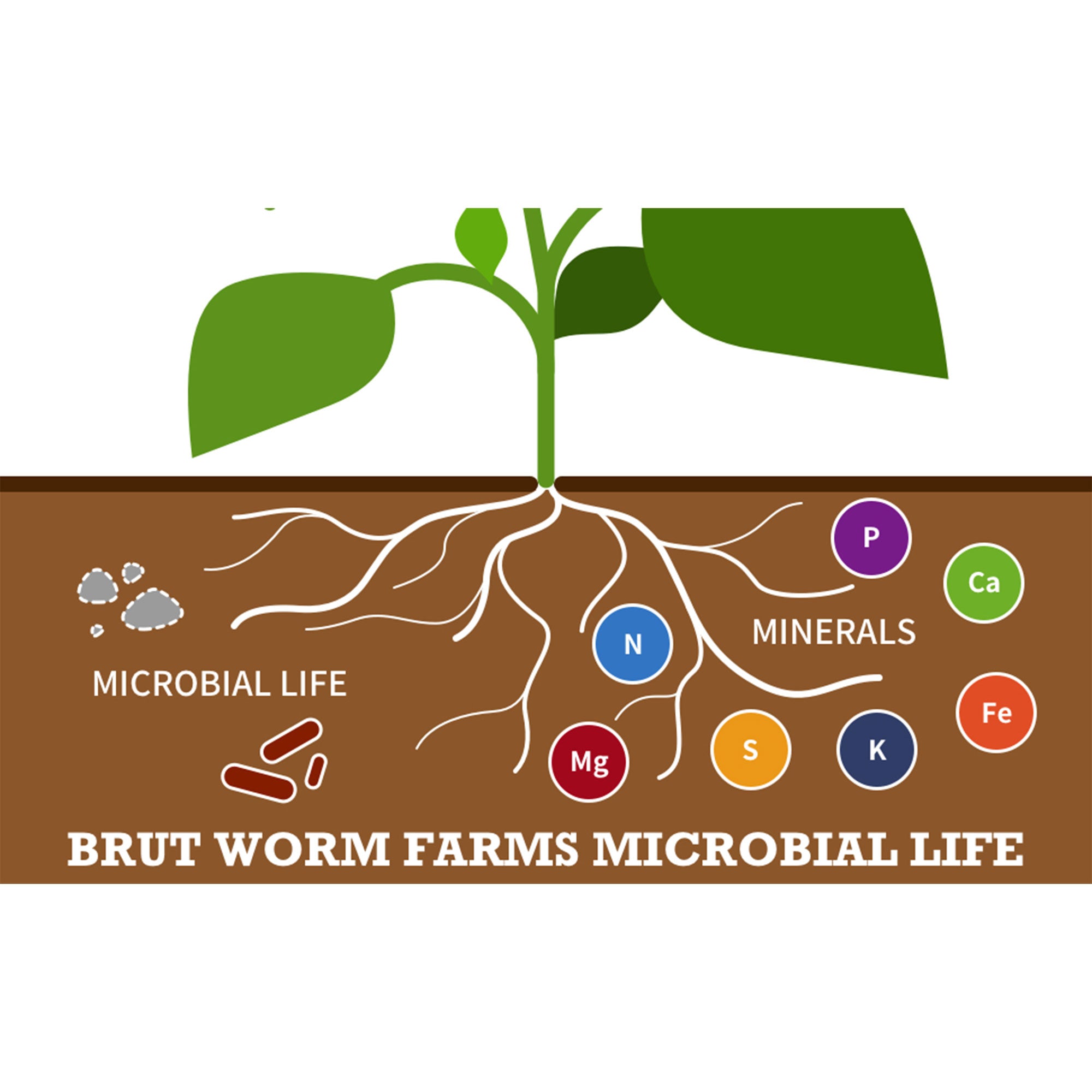Brut Worm Farms Worm Castings Soil, Cow Compost Fertilizer & Potting Soil Bundle