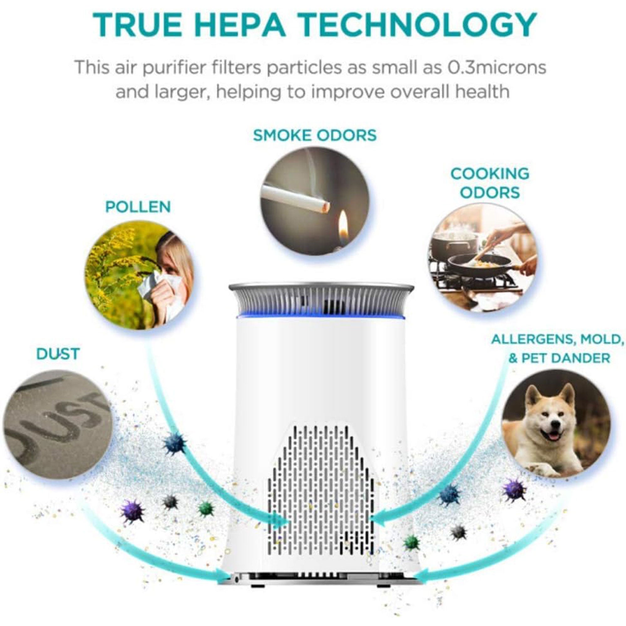 Hisense 376 Sq Ft Air Purifier w/4 Speed & HEPA Technology (Open Box) - VMInnovations
