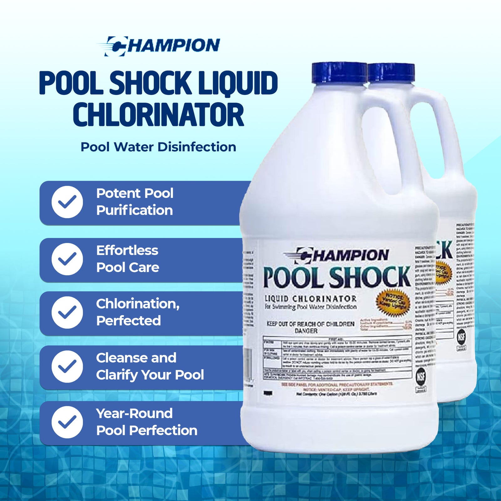 Champion Pool Shock Liquid Chlorinator for Pool Water Disinfection (2 Pack) - VMInnovations