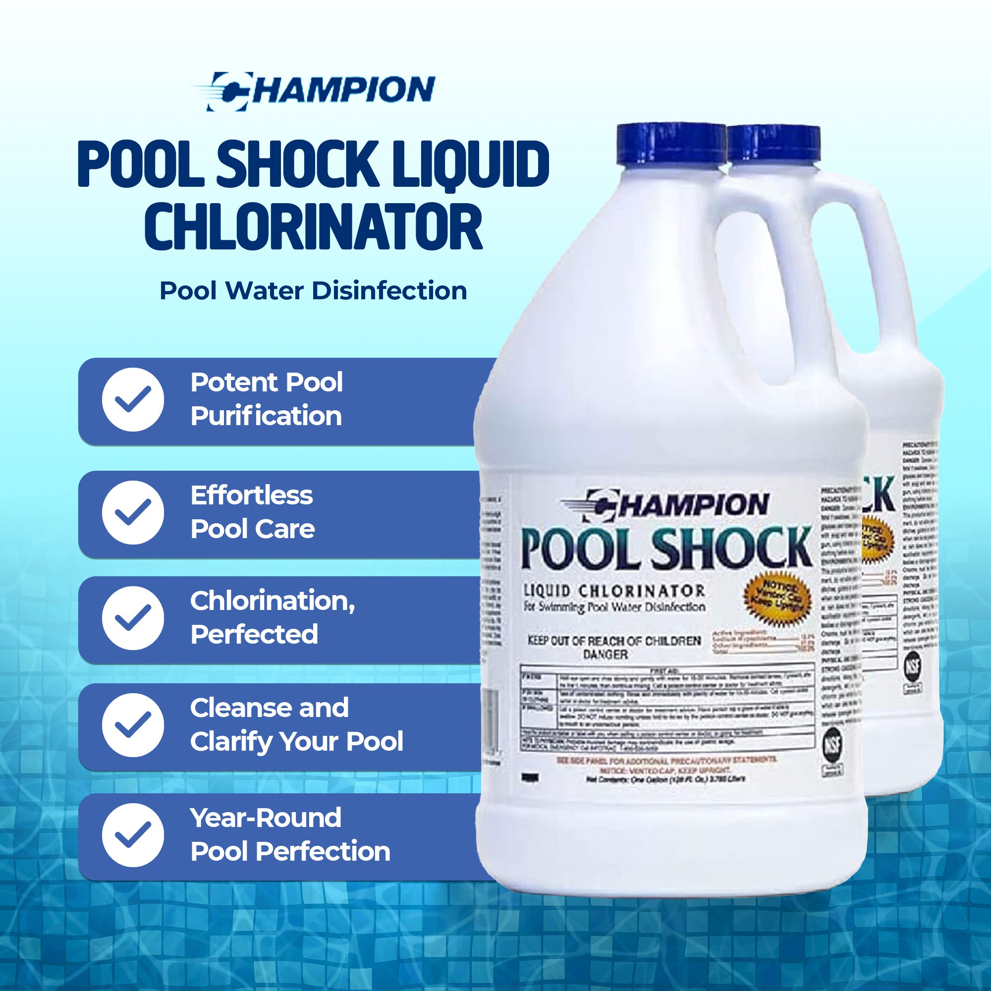 Champion Pool Shock Liquid Chlorinator for Pool Water Disinfection (2 Pack) - VMInnovations