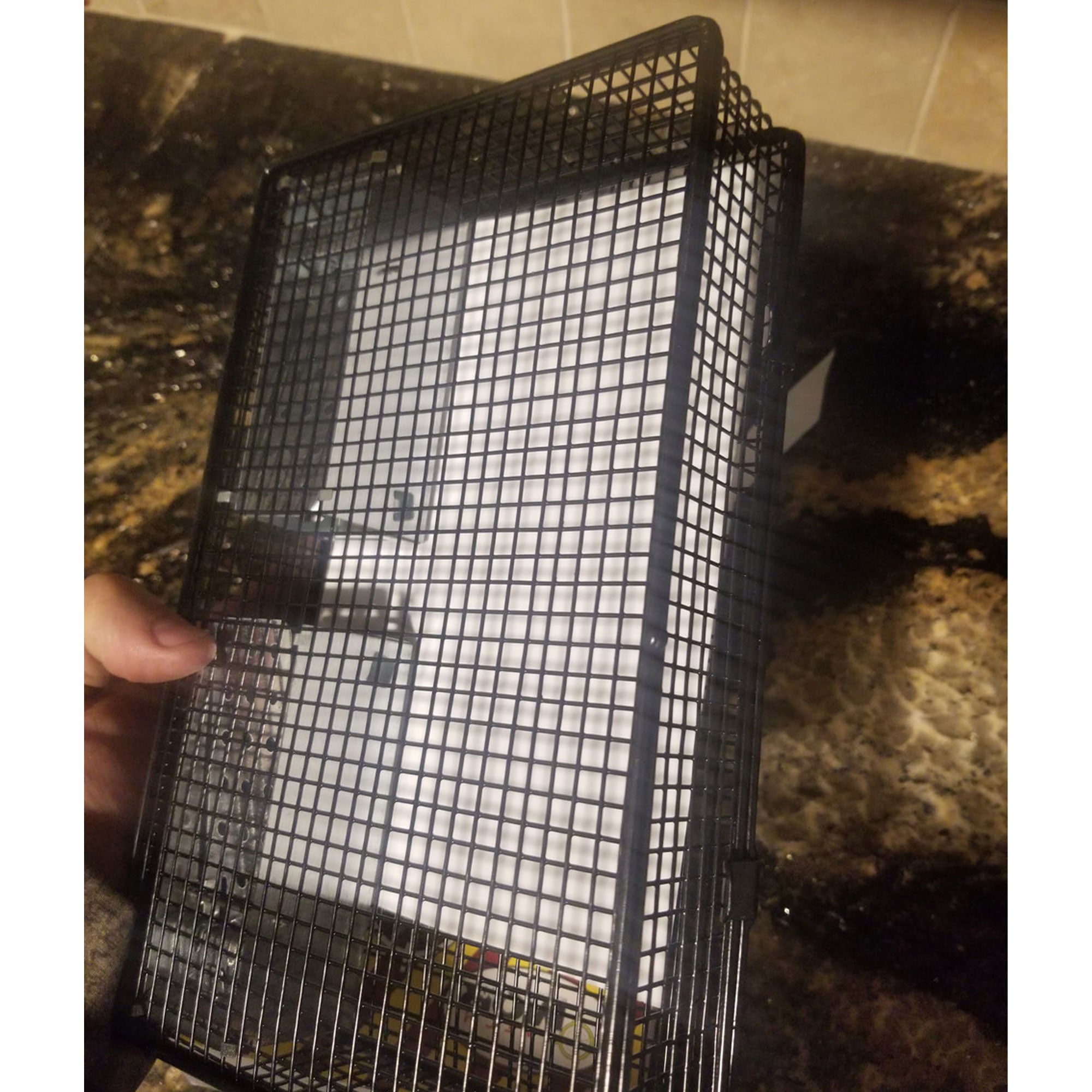 Rugged Ranch Products Mousinator Metal Wire Mouse Trap, Black (Open Box) - VMInnovations