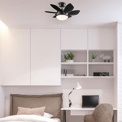 Westinghouse 2 Pack Quince 24" Reversible Ceiling Fan with LED Light, Black