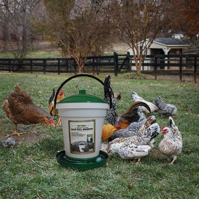 Harris Farms Poultry Drinker with Top Lid and Carrying Handle for Any Size Flock