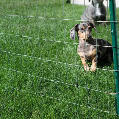 YardGard Galvanized Zinc Coating Welded Wire Fence with Polished Finish Type - VMInnovations