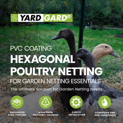 PVC Coating Hexagonal Poultry Netting for Garden Netting Essentials (Used) - VMInnovations
