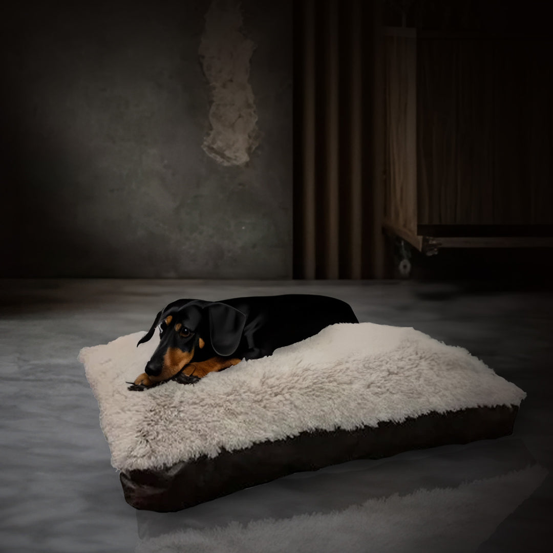 Aspen Pet 36x27" Faux Leather Gusset Pillow Pet Bed Removeable Cover (Open Box)