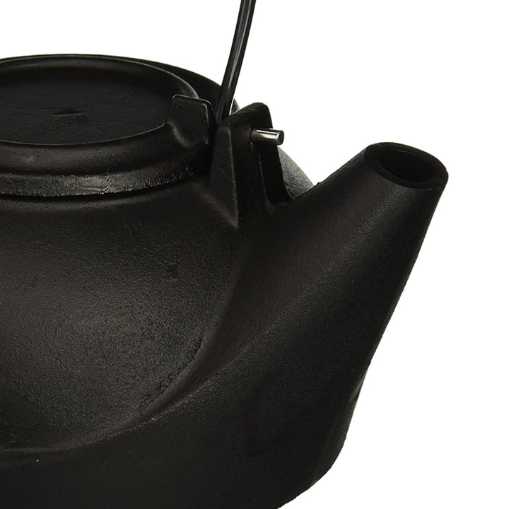 Panacea Fireplace Cast Iron Kettle Humidifier w/ Chrome Handle, Black (Used)