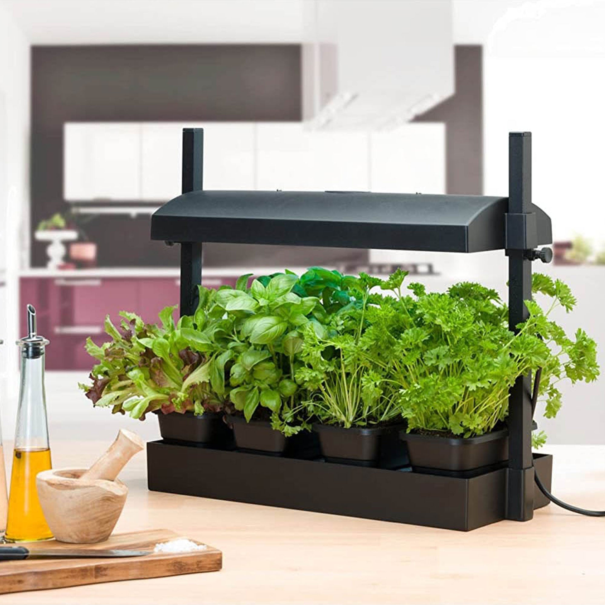 SunBlaster 1600218 T5HO Grow Light Garden Micro + GAIA GREEN All Purpose Plant