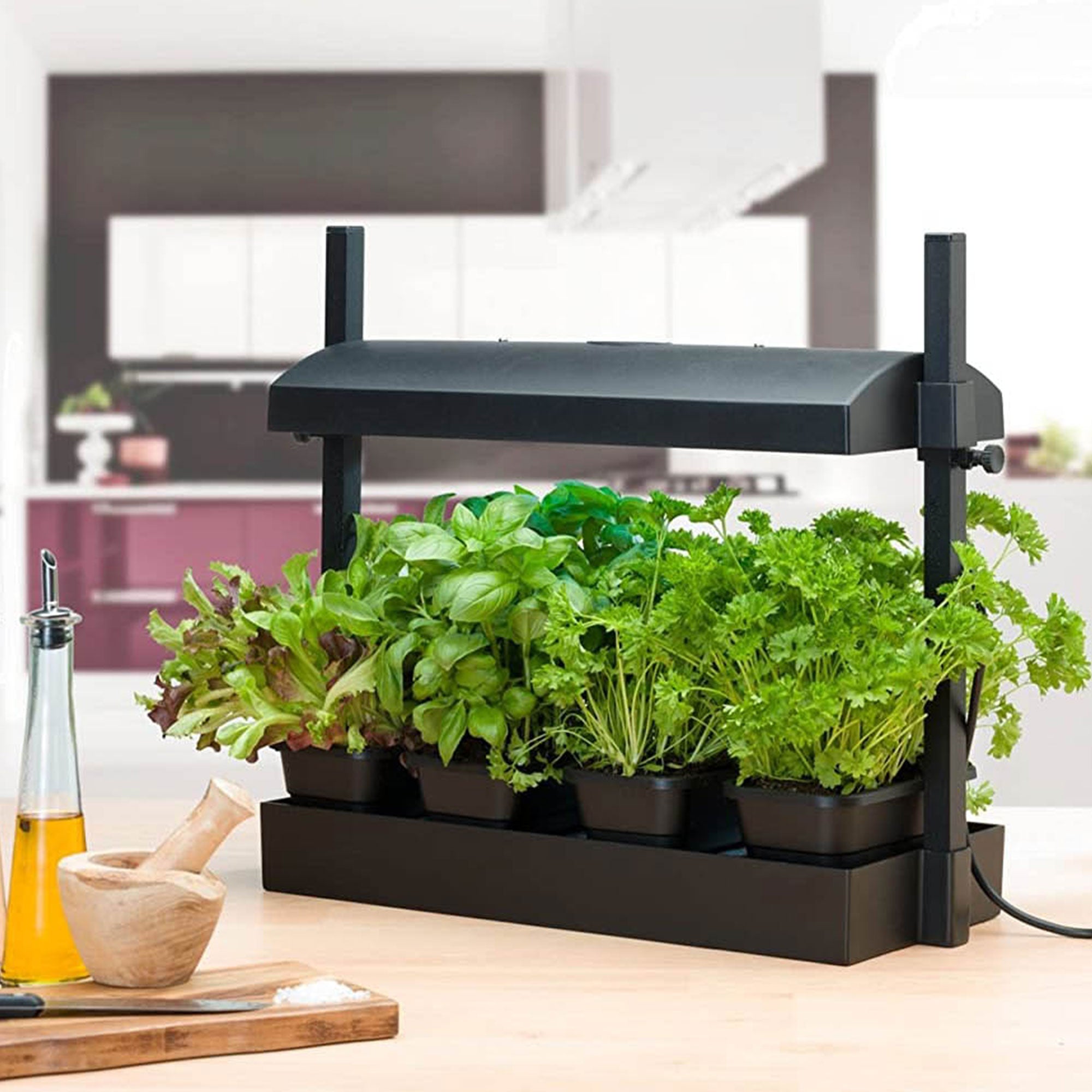 SunBlaster Light + GAIA GREEN 500 Grams Plant Food + GAIA GREEN 2 Kilos Food